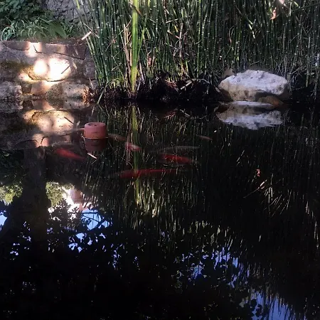 Pensjonat Les Jardins D'arbousse
